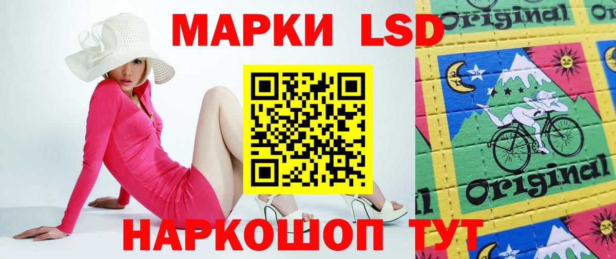 ЛСД экстази ecstasy  Вход с VPN  Новозыбков  LSD-25 экстази  LSD-25 экстази ecstasy 