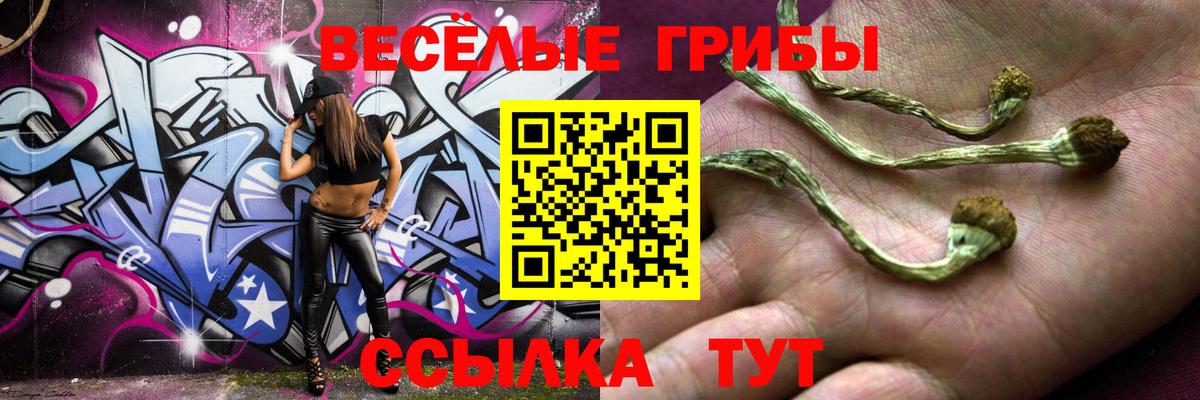 Галлюциногенные грибы ЛСД  Вход с VPN  Новозыбков  Галлюциногенные грибы мухоморы 